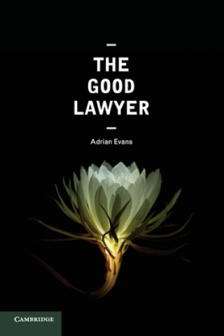 Kniha Good Lawyer Adrian Evans