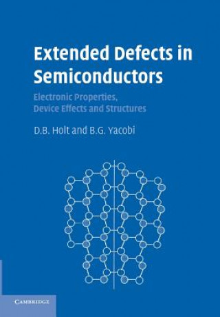 Kniha Extended Defects in Semiconductors D. B. Holt