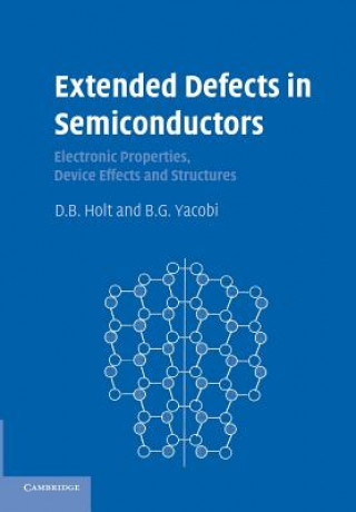 Buch Extended Defects in Semiconductors D. B. Holt