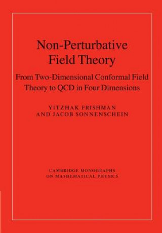 Könyv Non-Perturbative Field Theory Yitzhak Frishman