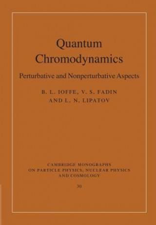 Book Quantum Chromodynamics B.L. Ioffe