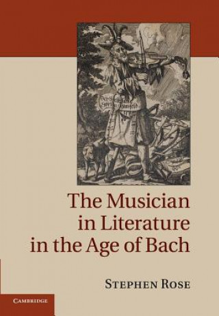 Книга Musician in Literature in the Age of Bach Stephen Rose