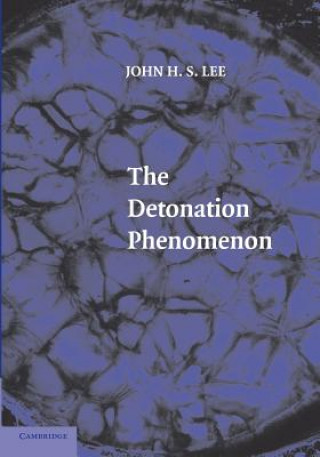 Könyv Detonation Phenomenon John H. S. Lee
