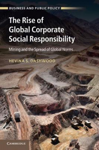 Buch Rise of Global Corporate Social Responsibility Hevina S. Dashwood