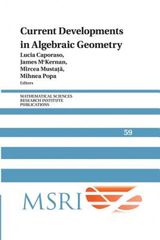 Book Current Developments in Algebraic Geometry Lucia Caporaso