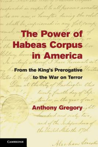 Kniha Power of Habeas Corpus in America Anthony Gregory