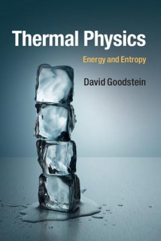 Könyv Thermal Physics David Goodstein