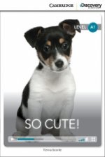 So Cute! Beginning book with online access