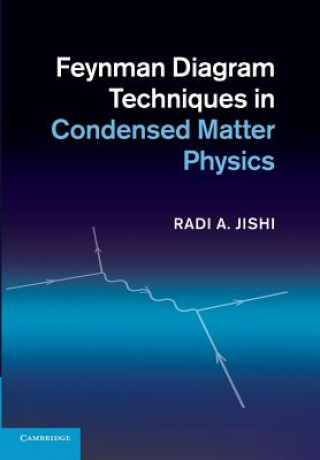 Carte Feynman Diagram Techniques in Condensed Matter Physics Radi A. Jishi