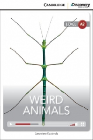 Knjiga Weird Animals Low Intermediate Book with Online Access Genevieve Kocienda