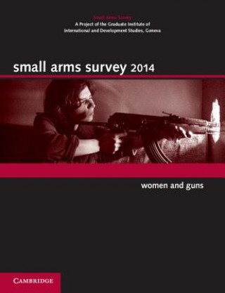 Kniha Small Arms Survey 2014 Small Arms Survey