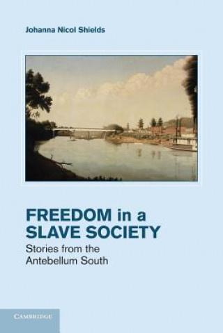Kniha Freedom in a Slave Society Johanna Nicol Shields
