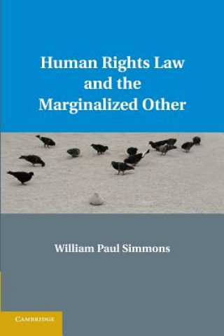 Knjiga Human Rights Law and the Marginalized Other William Paul Simmons