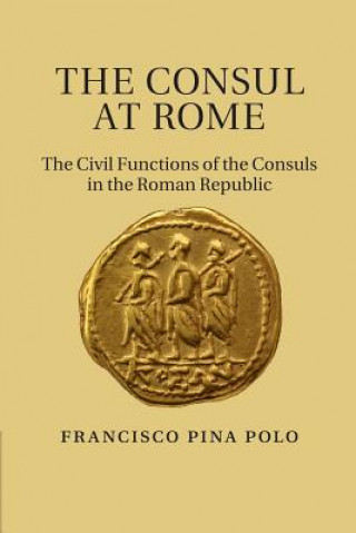Könyv Consul at Rome Francisco Pina Polo