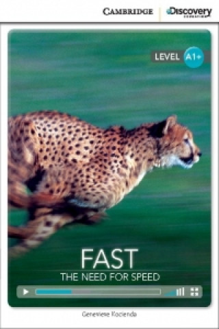 Carte Fast: The Need for Speed High Beginning Book with Online Access Genevieve Kocienda