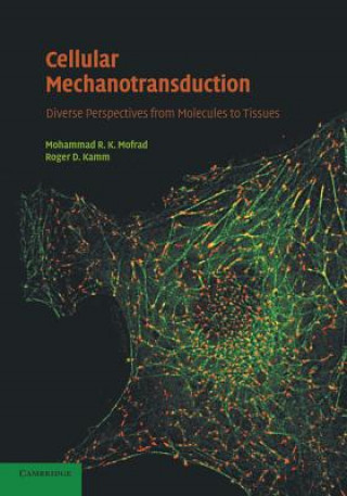 Buch Cellular Mechanotransduction Roger D. Kamm