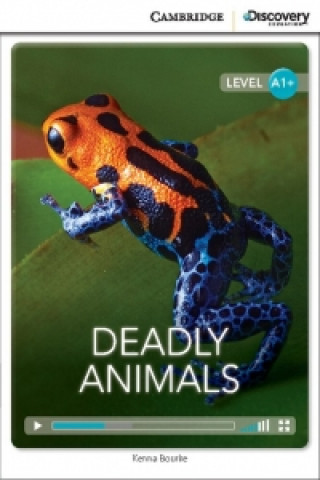 Książka Deadly Animals High Beginning Book with Online Access Kenna Bourke