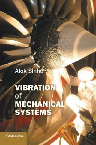 Kniha Vibration of Mechanical Systems Alok Sinha