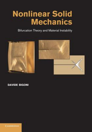 Kniha Nonlinear Solid Mechanics Davide Bigoni