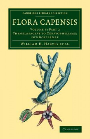 Könyv Flora Capensis Arthur W. Hill