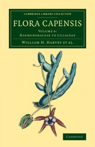Carte Flora Capensis William T. Thiselton-Dyer