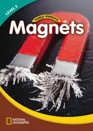 Book World Windows 3 (Science): Magnets YBM