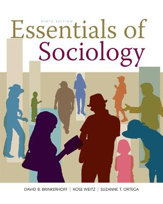 Buch Essentials of Sociology Rose Weitz