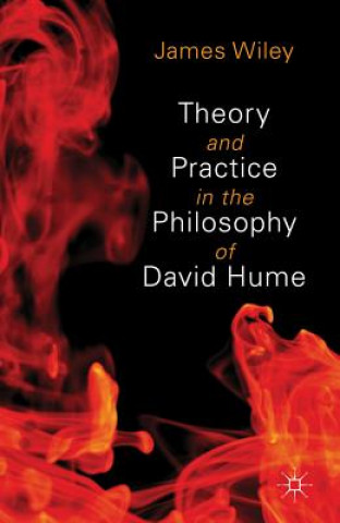 Kniha Theory and Practice in the Philosophy of David Hume James Wiley