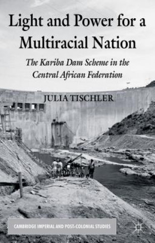 Könyv Light and Power for a Multiracial Nation Julia Tischler