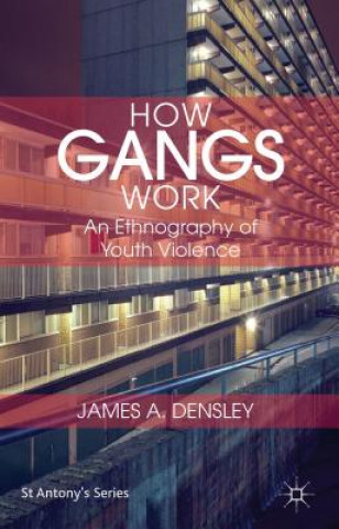 Knjiga How Gangs Work James Densley