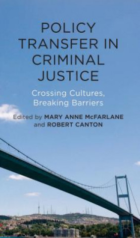 Kniha Policy Transfer in Criminal Justice Mary Anne McFarlane