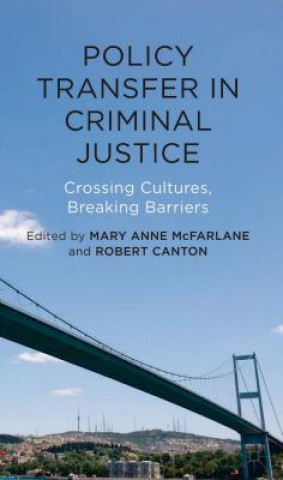 Книга Policy Transfer in Criminal Justice Mary Anne McFarlane