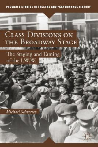 Книга Class Divisions on the Broadway Stage Michael Schwartz