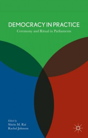 Livre Democracy in Practice S. Rai