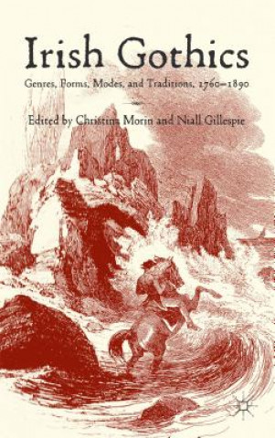 Boek Irish Gothics Christina Morin