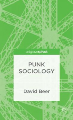 Kniha Punk Sociology David Beer