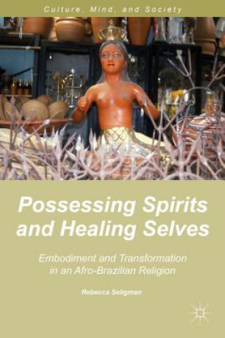 Книга Possessing Spirits and Healing Selves Rebecca Seligman