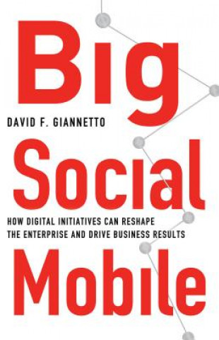 Livre Big Social Mobile David F. Giannetto