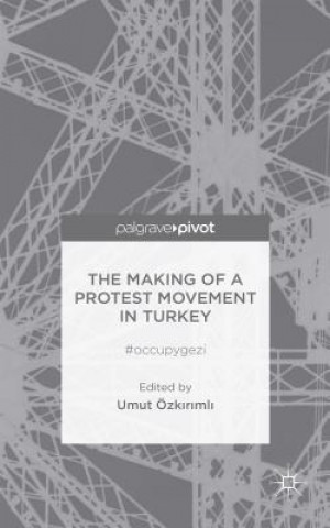 Книга Making of a Protest Movement in Turkey U. Ozkirimli