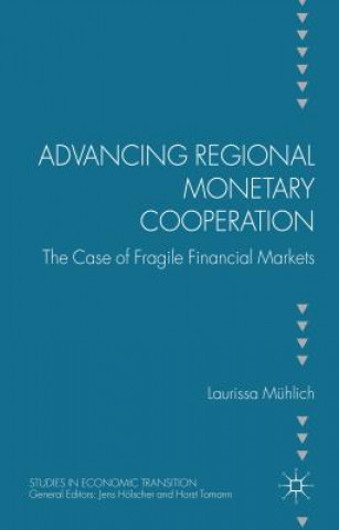 Könyv Advancing Regional Monetary Cooperation Laurissa Muhlich