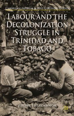 Könyv Labour and the Decolonization Struggle in Trinidad and Tobago Jerome Teelucksingh