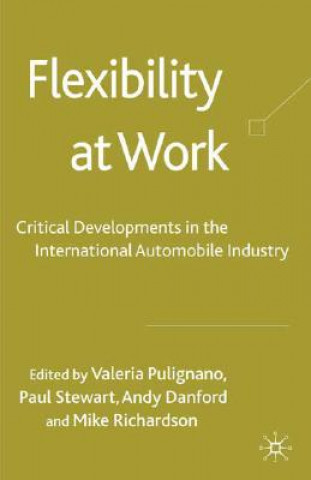 Könyv Flexibility at Work V. Pulignano