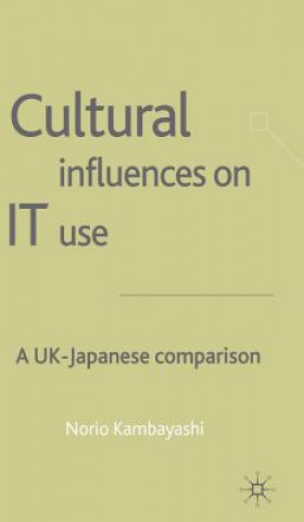 Knjiga Cultural Influences on IT Use Norio Kambayashi