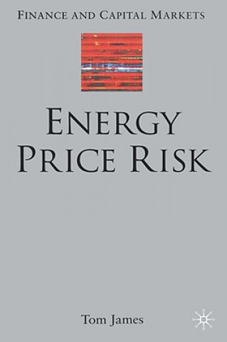 Kniha Energy Price Risk Tom James