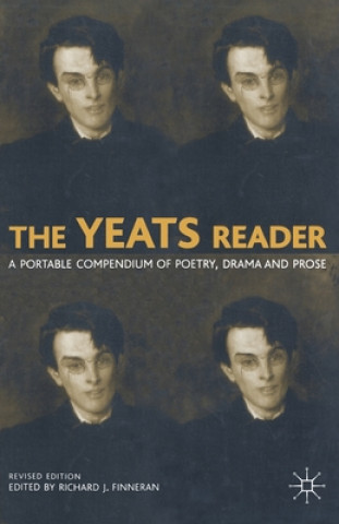 Buch Yeats Reader R. Finneran