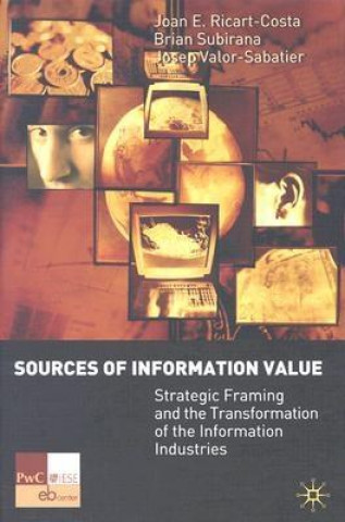 Kniha Sources of Information Value Brian Subirana