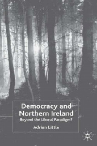 Книга Democracy and Northern Ireland Adrian Little