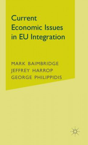 Kniha Current Economic Issues in EU Integration Mark Baimbridge