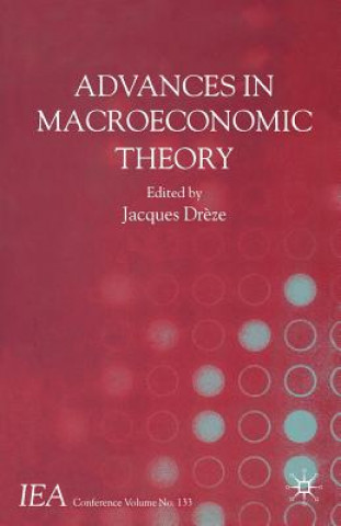 Könyv Advances in Macroeconomic Theory J. Dr?