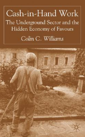 Kniha Cash-in-Hand Work Colin C. Williams